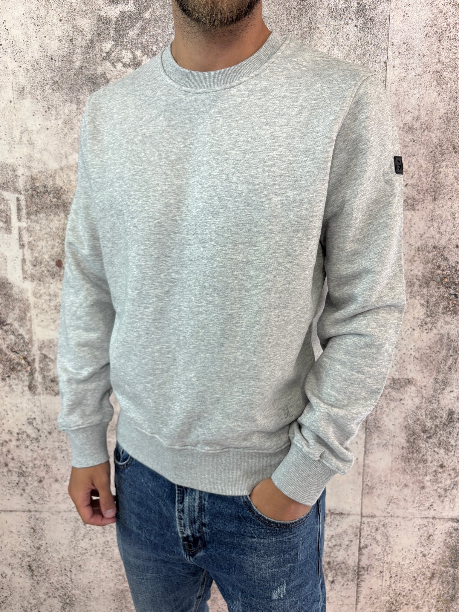 Felpa girocollo basic grigia